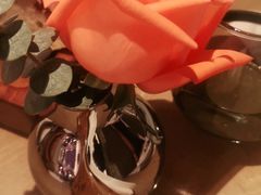 -佐度王子扒房(爱建卓展店)