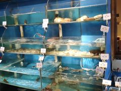 水产区-小城故事·地道宁波味(月湖盛园店)