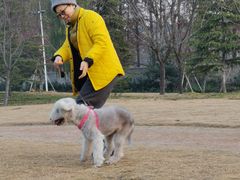 -杭州城北体育公园