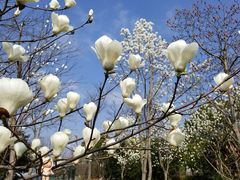 -无锡市市民中心