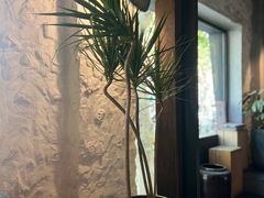 -Apollo·西班牙小酒馆(安福路店)