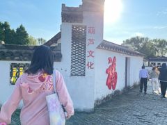 -溱湖国家湿地公园