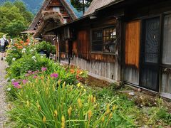 -白川乡与五箇山的合掌构造村落