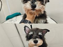 -悠尼宠物·独立低压伊珊娜洗护·美容·寄养(兰谷路店)