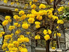 -四川大学(华西校区)