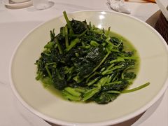 -阿露佳·舌尖上的安吉菜