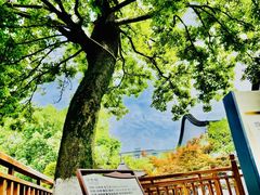 -丝绸小镇荻港古村