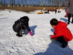 -1982农场