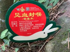 -呀诺达热带雨林
