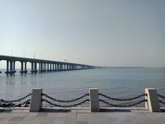 -宝安西湾红树林湿地公园