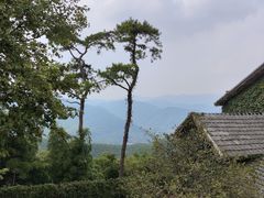 -莫干山风景区