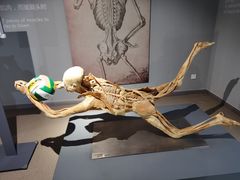 -昆山招商花园城