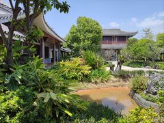 -大亚湾红树林城市湿地公园