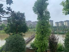 -枫香湖儿童公园