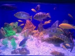 -乌鲁木齐海洋馆