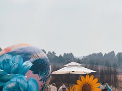 -空港花田景区