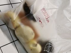 -北大医学部·面包房