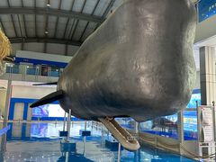 -上海海洋大学鱼文化博物馆(军工路校区)