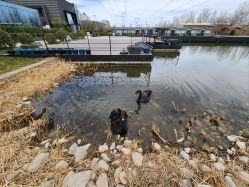 -禧园Joyous Garden ·宴会厅(禧园店)