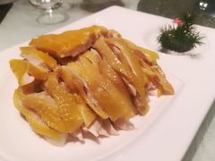 -阿五黄河大鲤鱼(纬三路店)