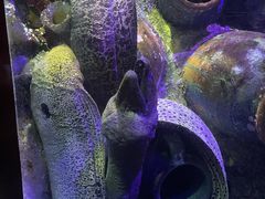 -太平洋海底世界