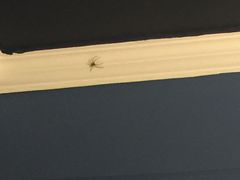 -娜娜度假小旅馆