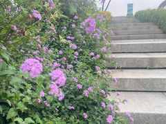 -桂溪生态公园