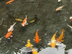 -Waterfall瀑布湾优健源(华侨城店)