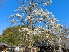 -径山寺