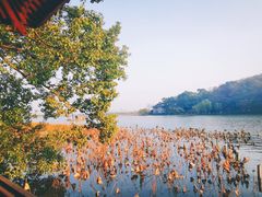-北山街历史文化街区