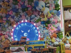 -娃娃集合营(上海奉贤龙湖天街店)