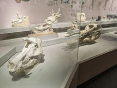 -长江文明馆