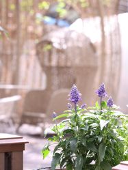 -HeyJewel全球独立设计师原创首饰集合店