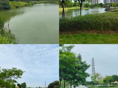 -王借岗森林公园