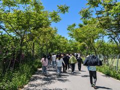 -上海长兴岛郊野公园