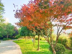 -木塔寺遗址生态公园