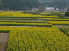 -新安江山水画廊风景区
