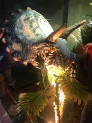 -恐龙探索乐园(磁器口店)