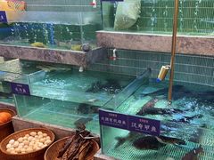 -鱼你相聚·河鲜馆(袁家岭店)
