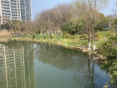 -洋湖国家湿地公园