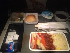 -新加坡航空公司(ION)