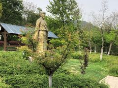-南京老山国家森林公园