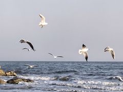 -金梦海湾浴场