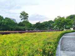 -九里河湿地公园