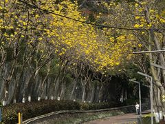 -狐尾山公园