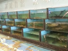 android_upload_pic-长崎家日式料理(人民大街店)