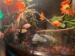 -上海海洋水族馆