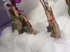 -腾阁自助餐厅(朝林广场店)