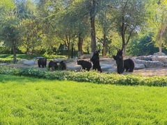 -北京野生动物园