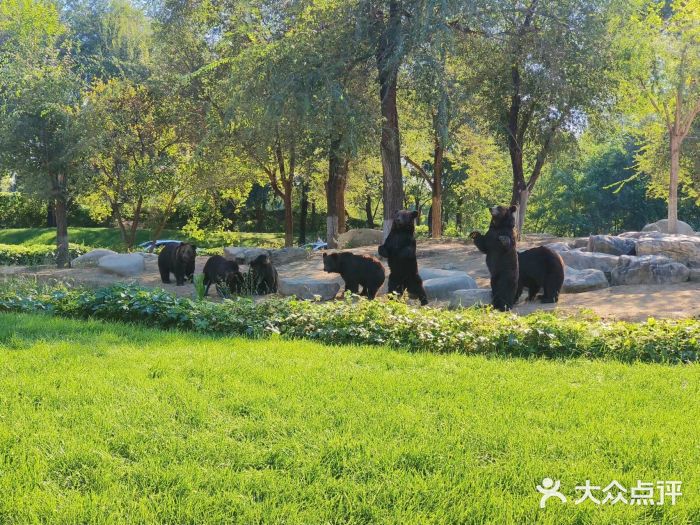 北京野生动物园图片